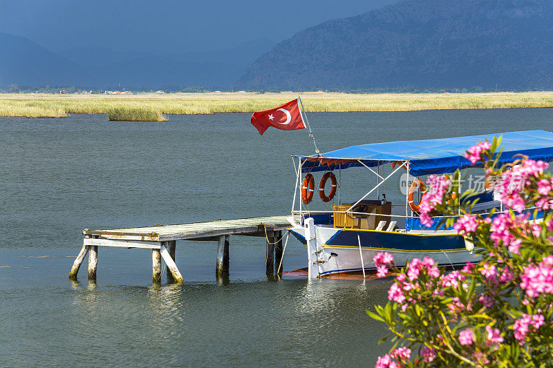达利安， 土耳其